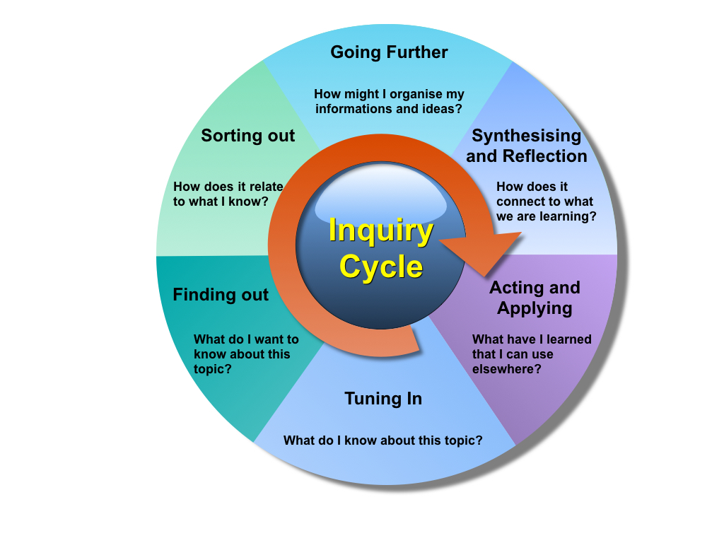 critical inquiry theory in education
